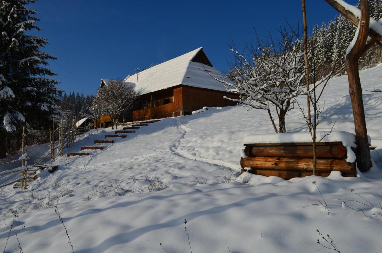 Приватна Садиба "Світлиця Гуцульщини" Vorokhta Exterior photo